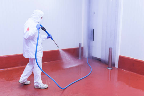 Best Roof Washing  in Jamesport, NY
