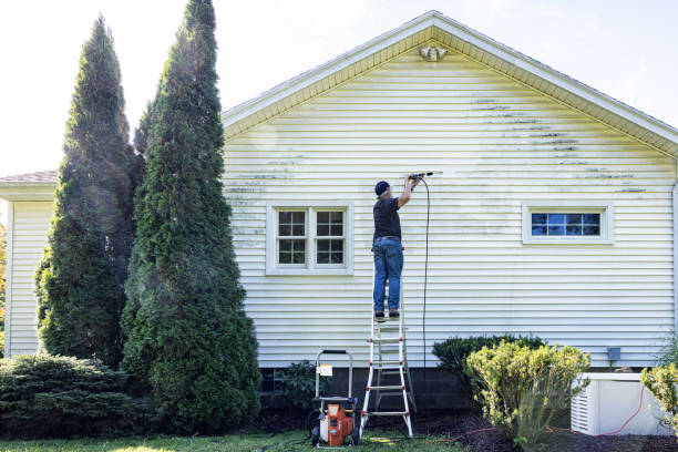 Best Gutter Cleaning  in Jamesport, NY